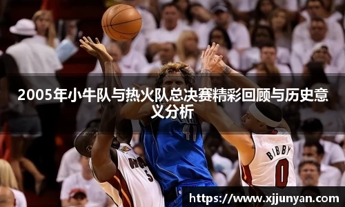 2005年小牛队与热火队总决赛精彩回顾与历史意义分析